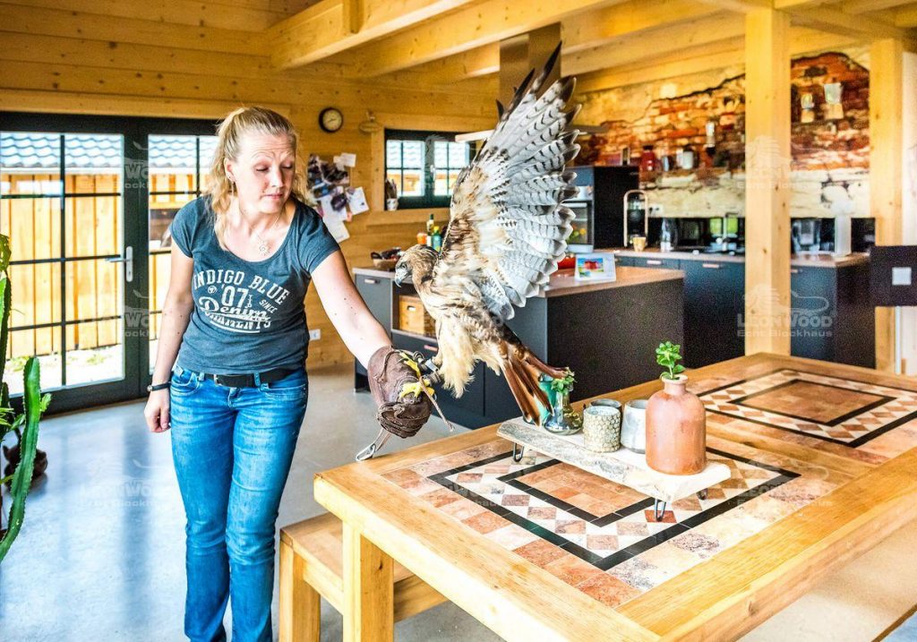 Bauherrenbericht LéonWood® - Echt Blockhaus