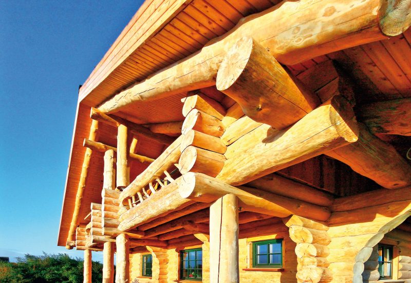 LeonWood-Naturstammhaus_Yukon-River_02_rgb